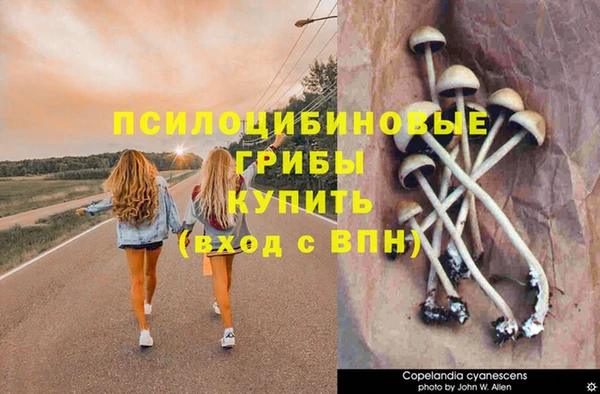 МДПВ Белокуриха