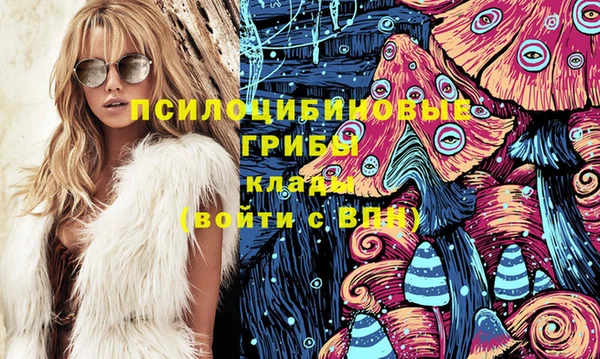 МДПВ Белокуриха