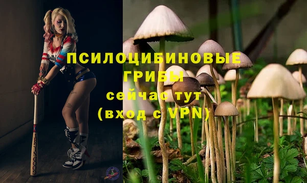 МДПВ Белокуриха